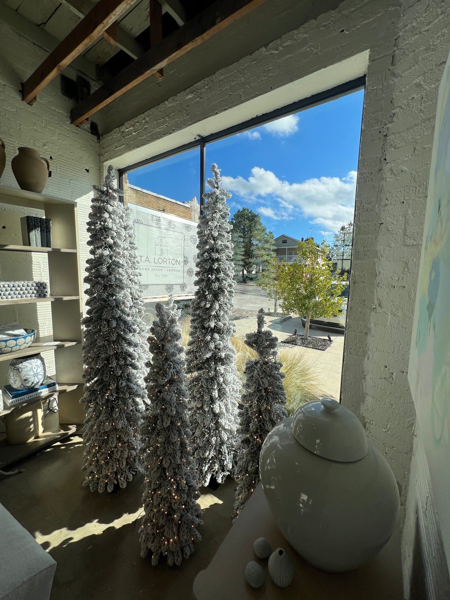 Snowy Aspen Pine