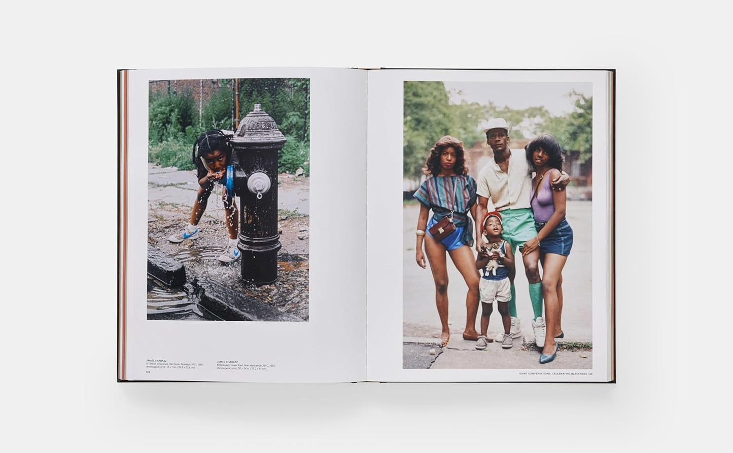 Giants: /Art from the Dean Collection of Swizz Beatz and Alecia Keys