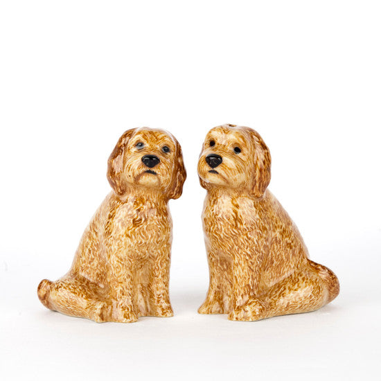 Cockapoo Salt and Pepper Apricot
