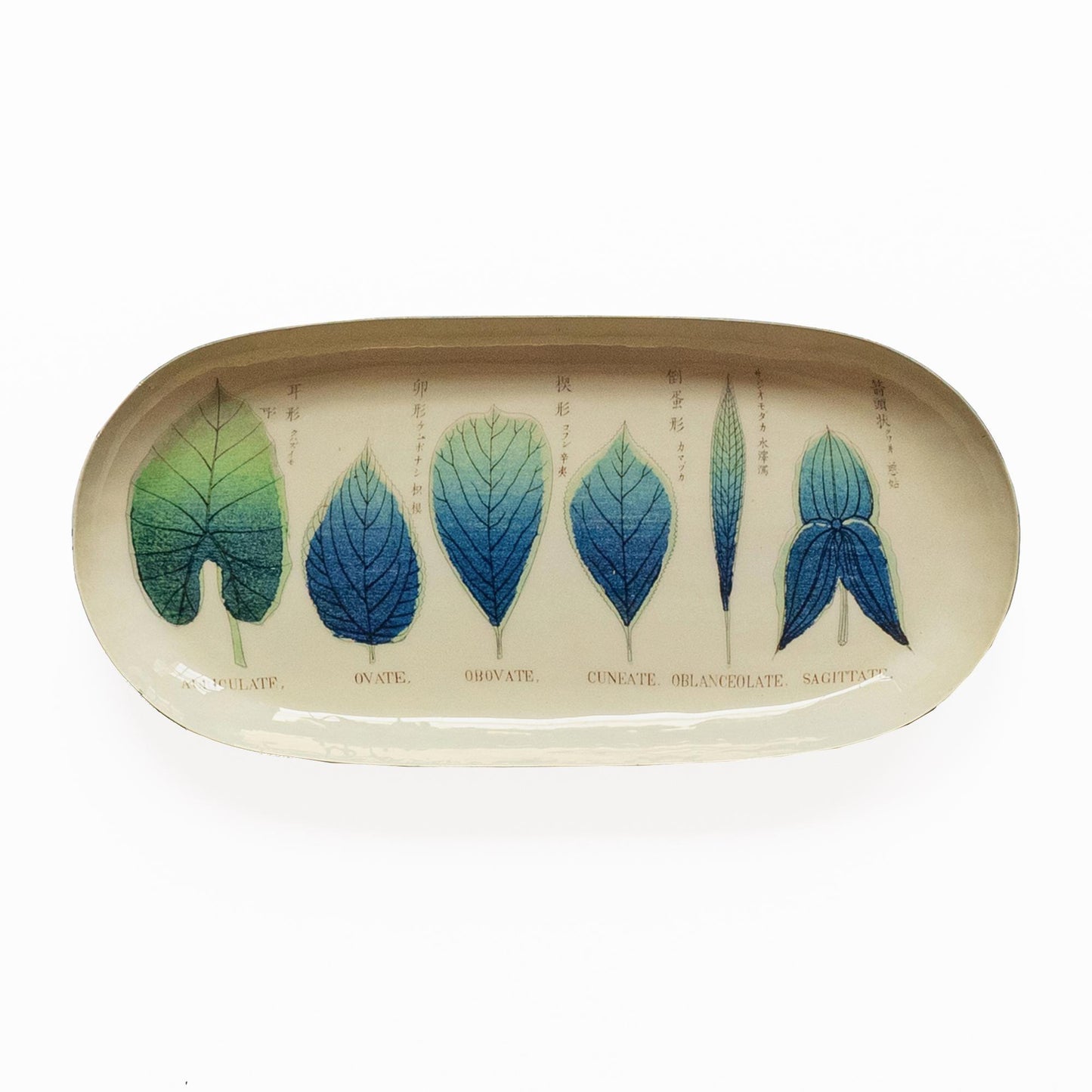 Oval Enamel Tray