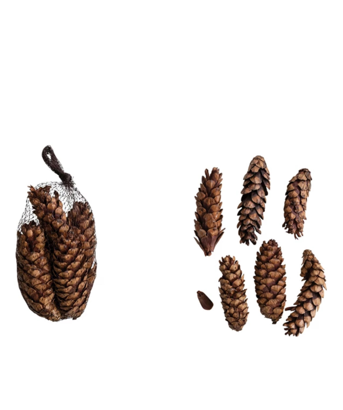 Dried Natural Pinecones