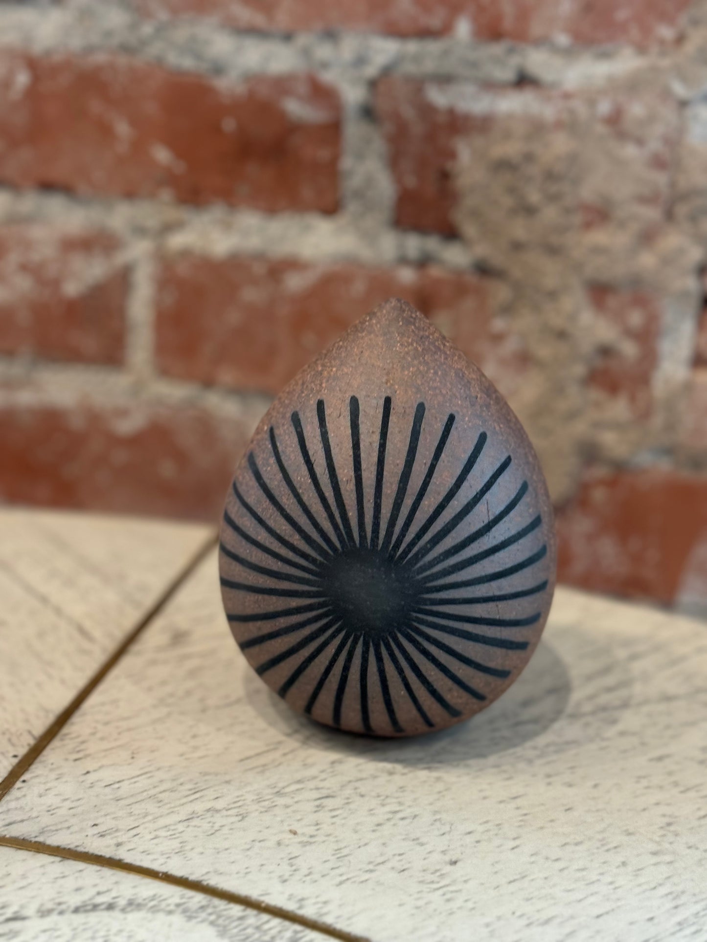 Seed Pod Sun