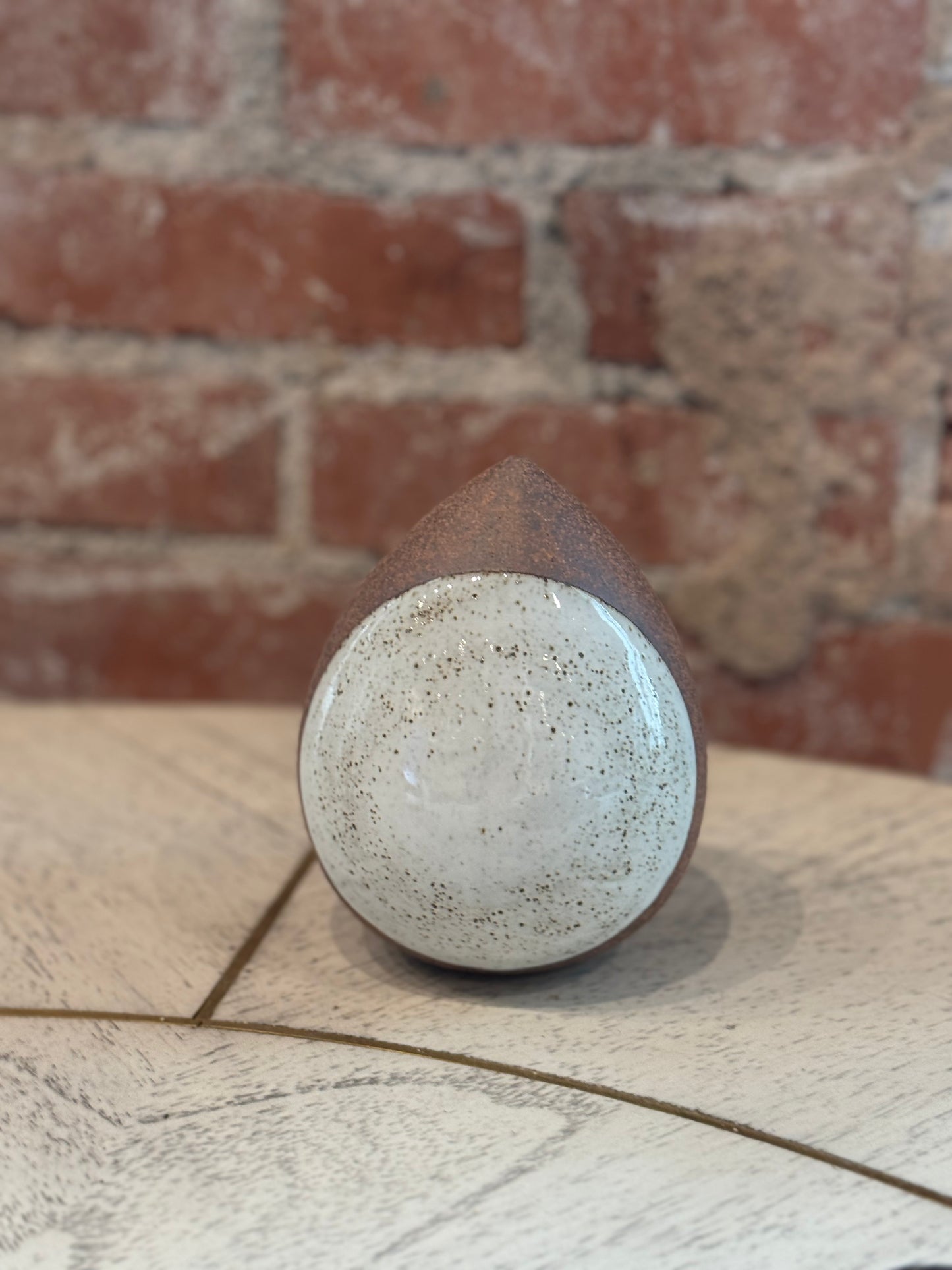 Seed Pod White