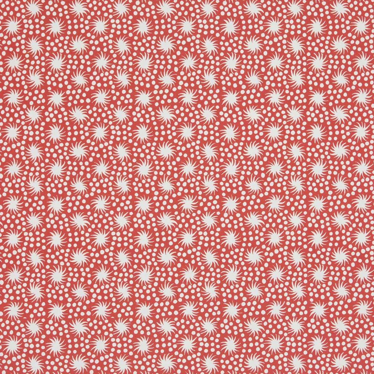 Animalcules Wrapping Paper