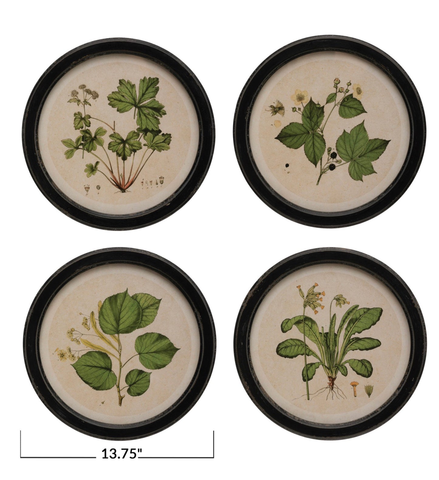 Round Framed Botanicals