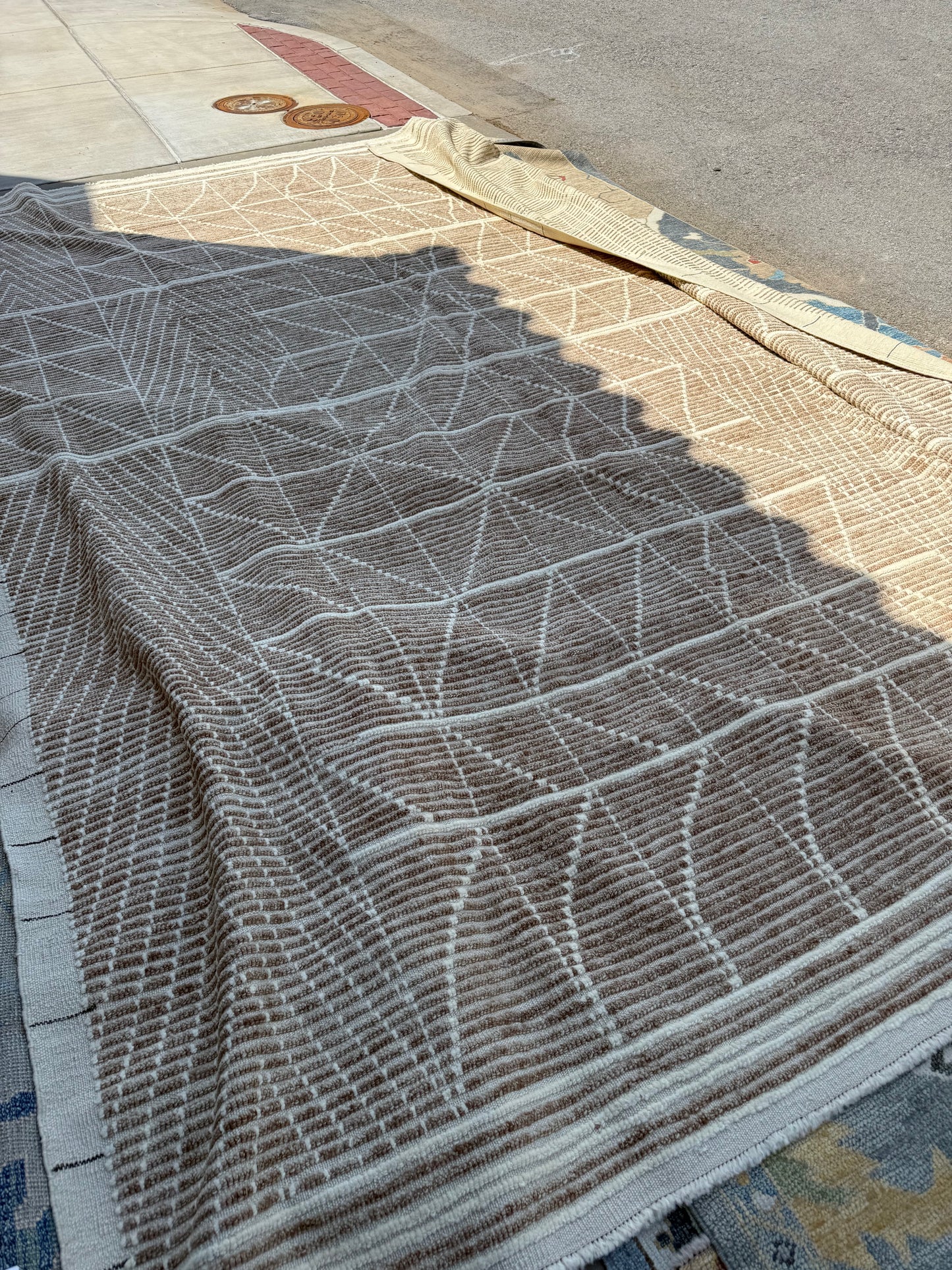 Hand Woven Browns Rug