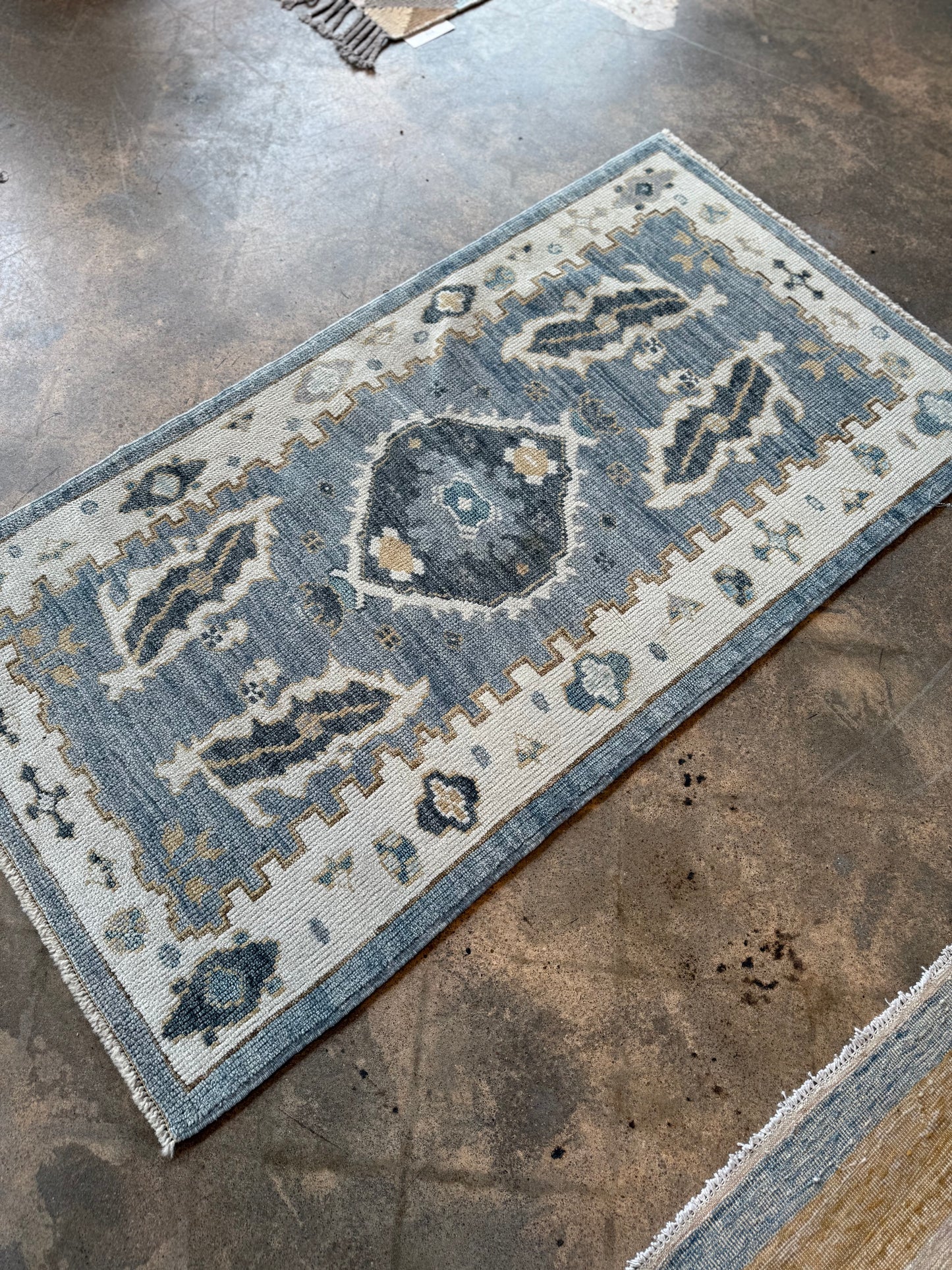 Dream Blue/Gray Rug