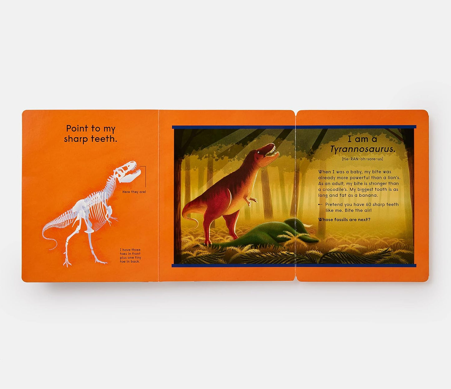 Who’s That Dinosaur