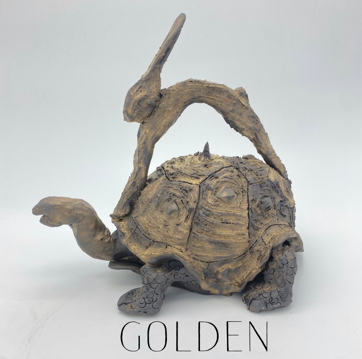 Tortoise & Hare Fable Teapot