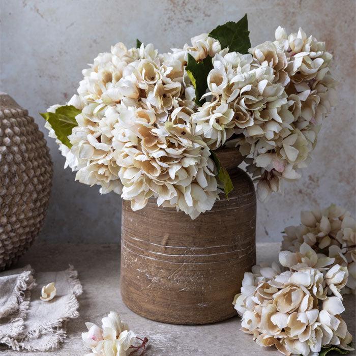 Hydrangea Morning Mist Stem