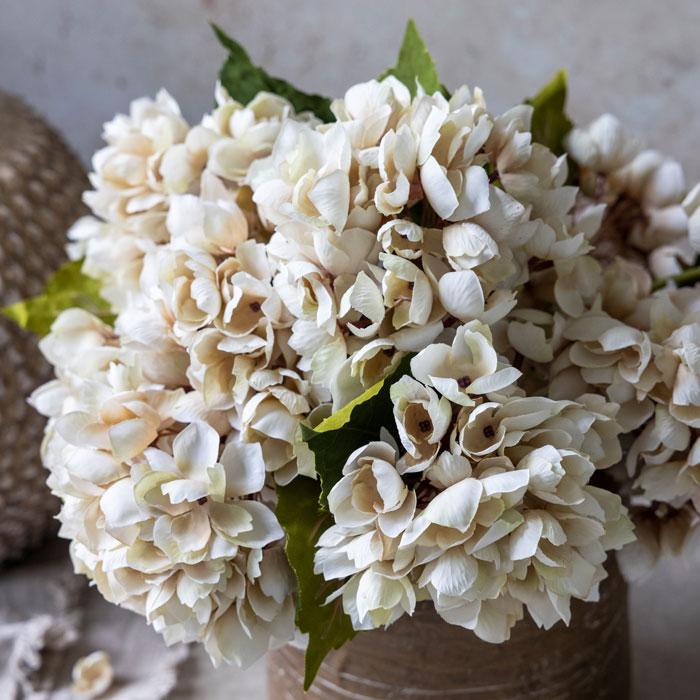 Hydrangea Morning Mist Stem