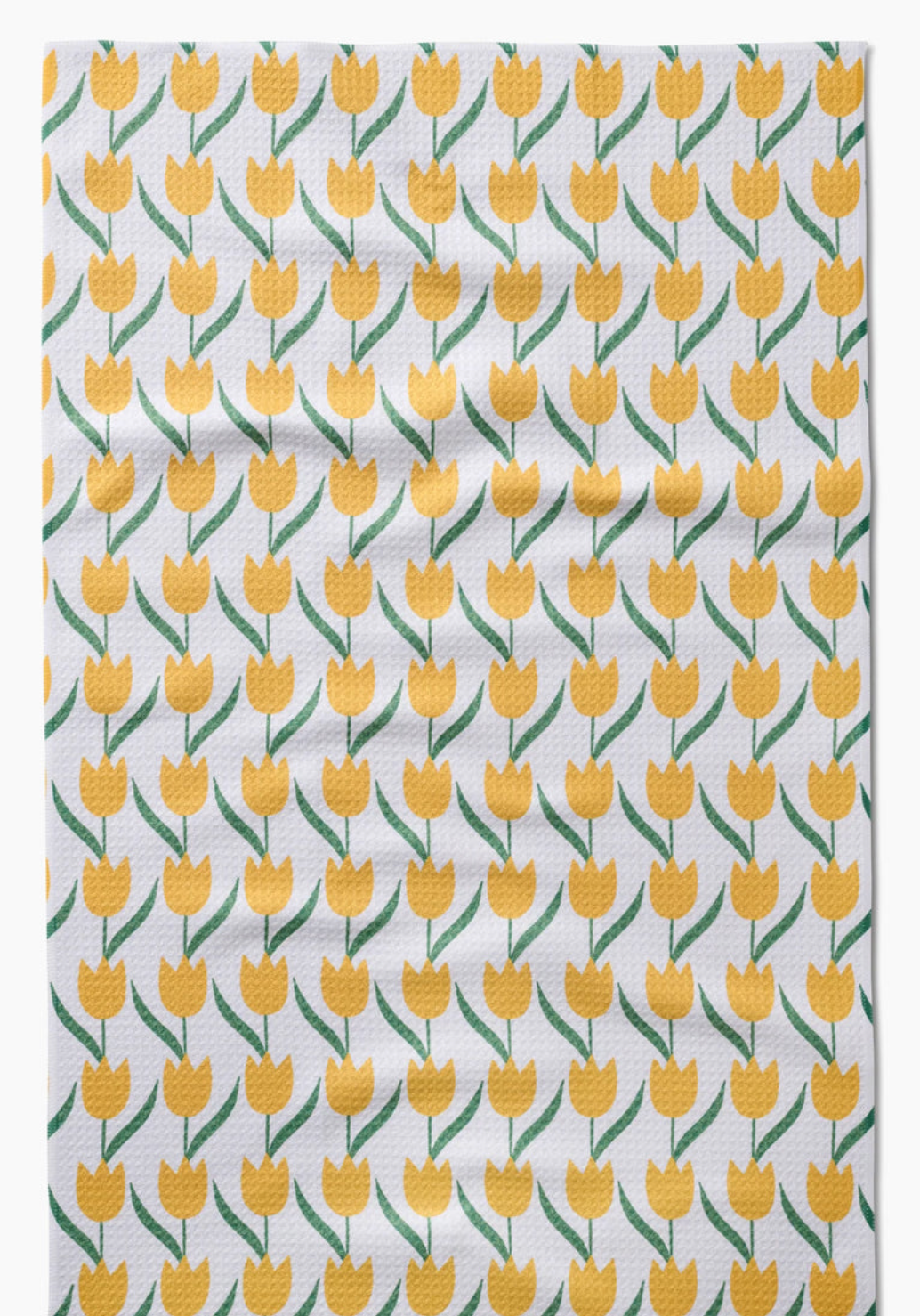 Tulip Flowers