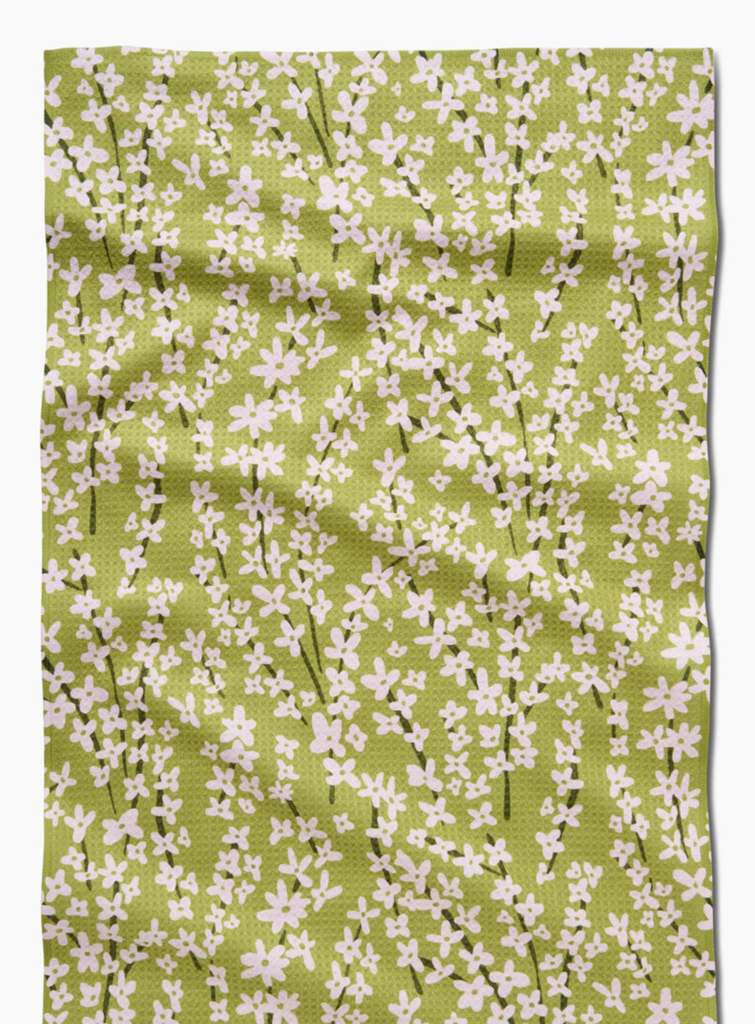 Spring Green Forsythia