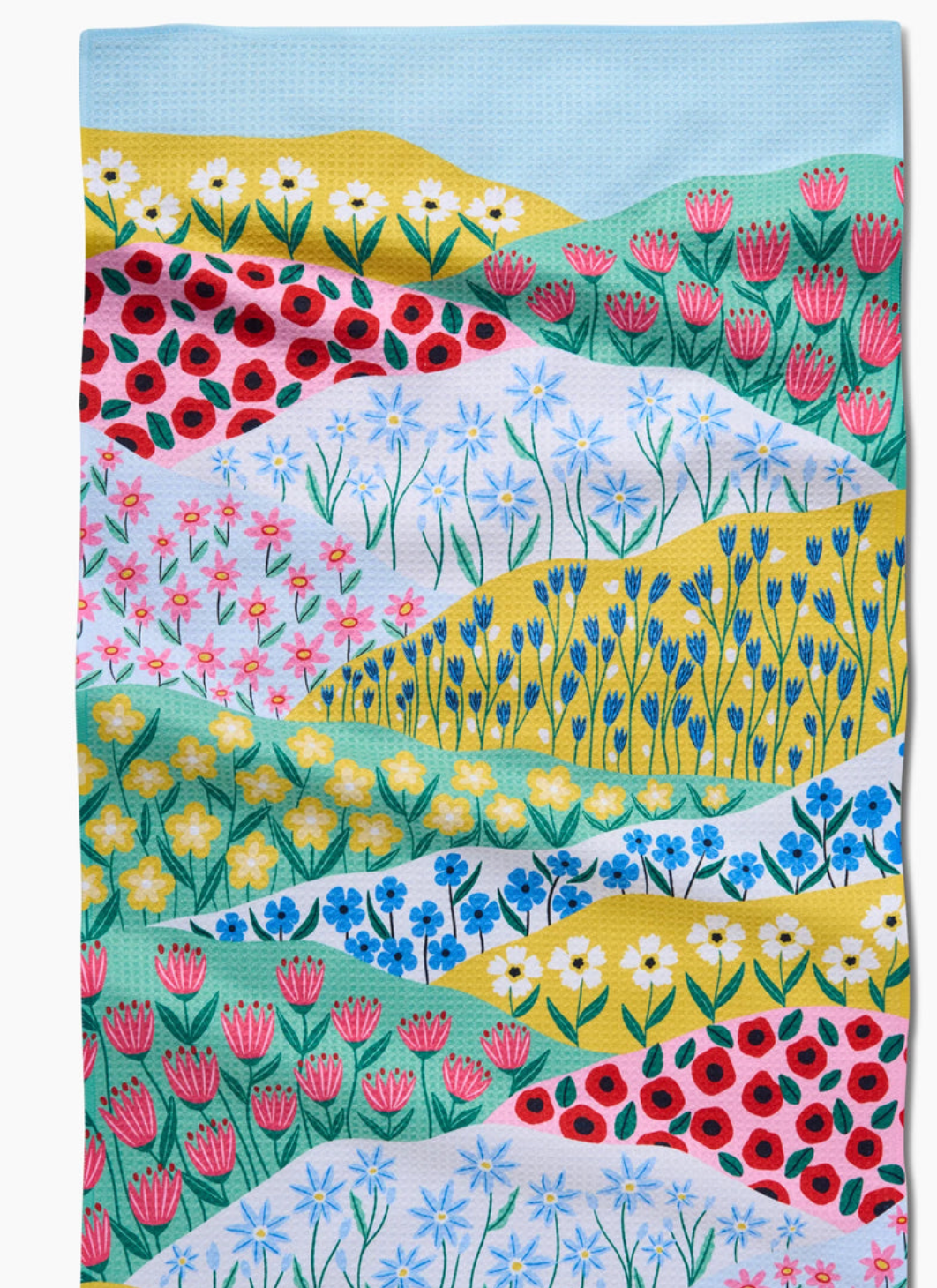 Spring Fields