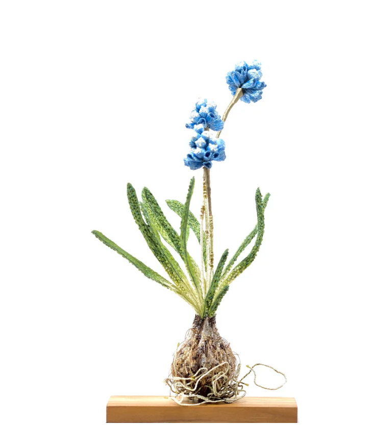 Grape Hyacinth Object Art