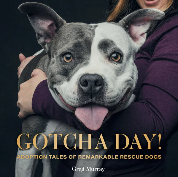 Gotcha Day hardback book