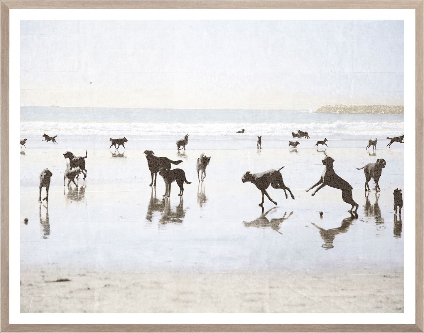 Dogs Day on the Beach Art