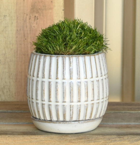 Linear Cachepot with Saucer
