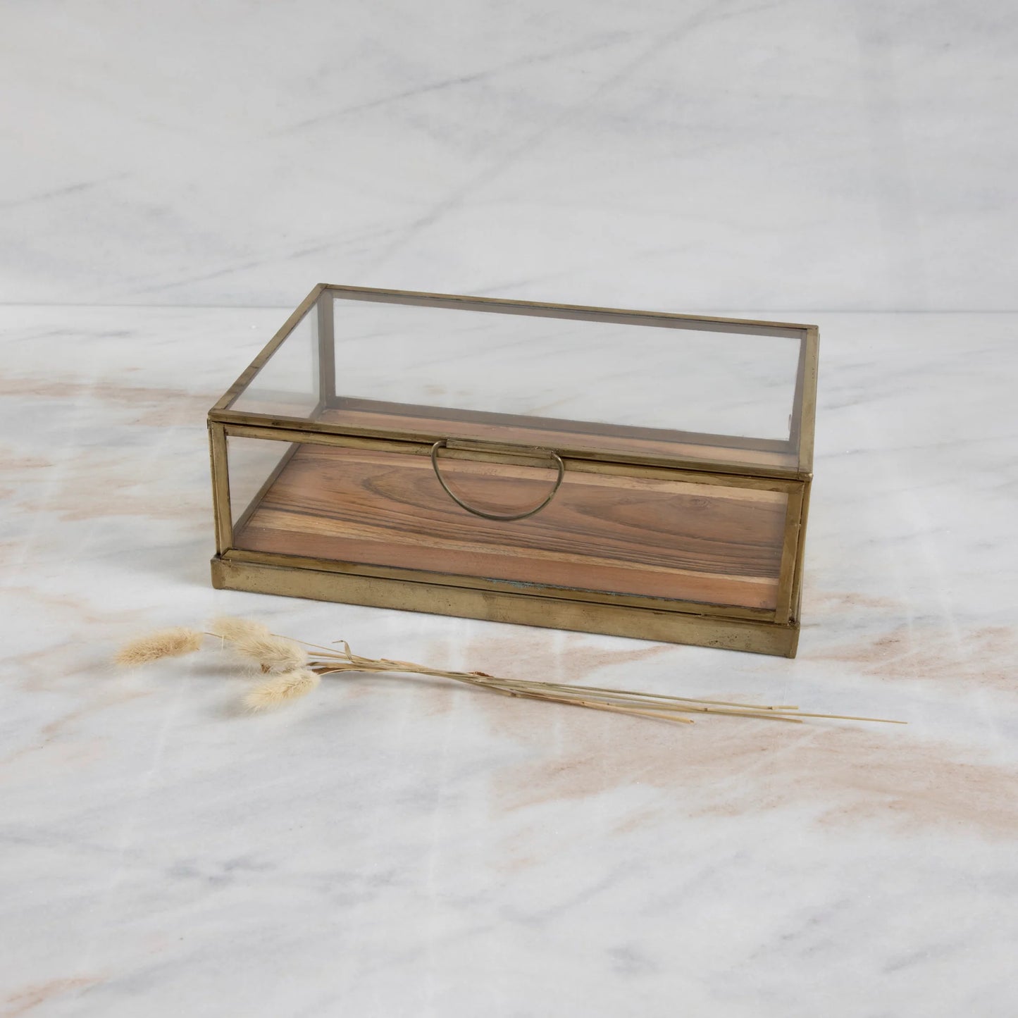 Glass Display Case