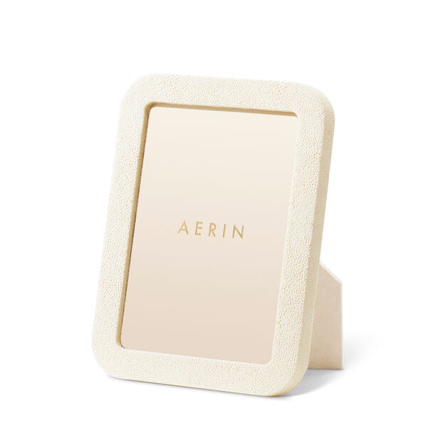 Modern Shagreen Frame