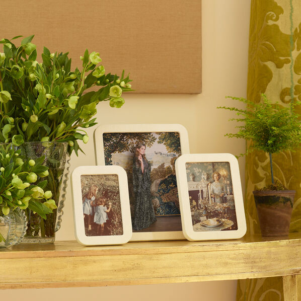 Modern Shagreen Frame