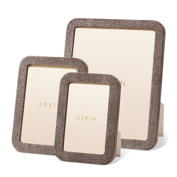 Modern Shagreen Frame