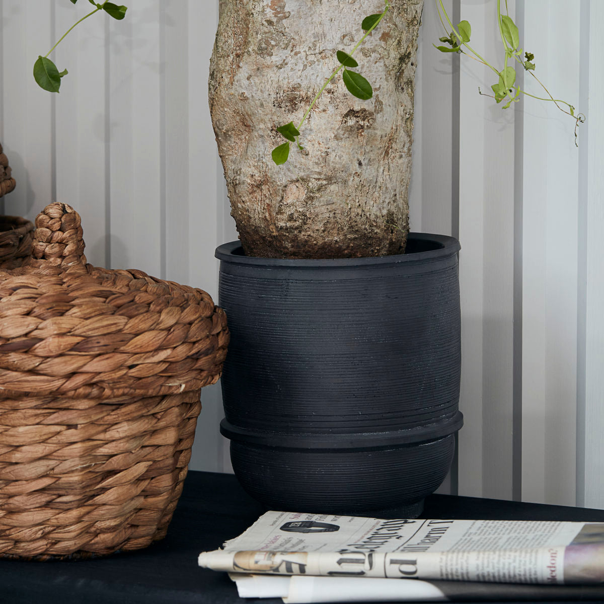 Gourd Concrete Planter