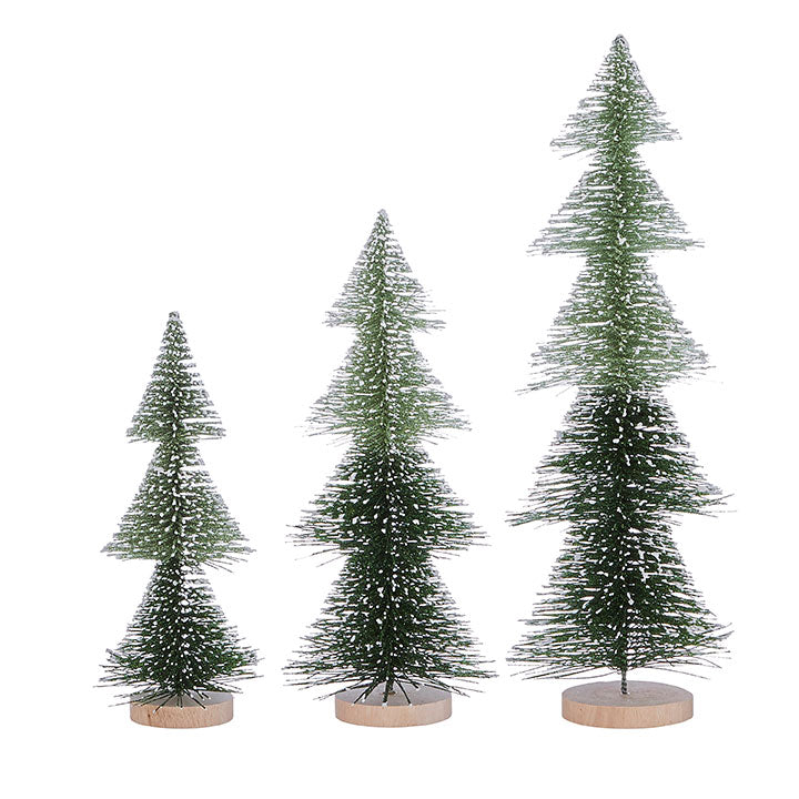 Bottle Brush Trees