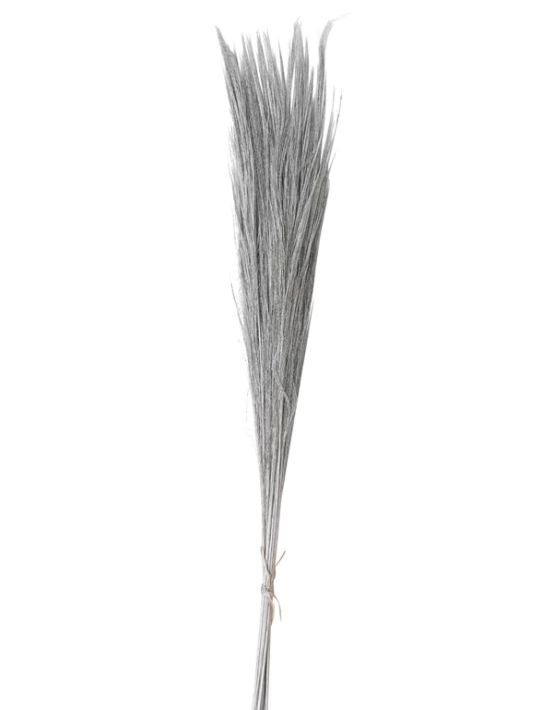 Broom Grass Bunch