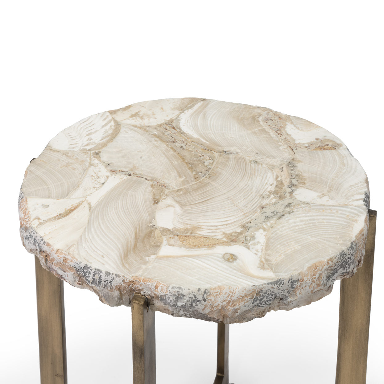 Durham Fossilized Clam Side Table