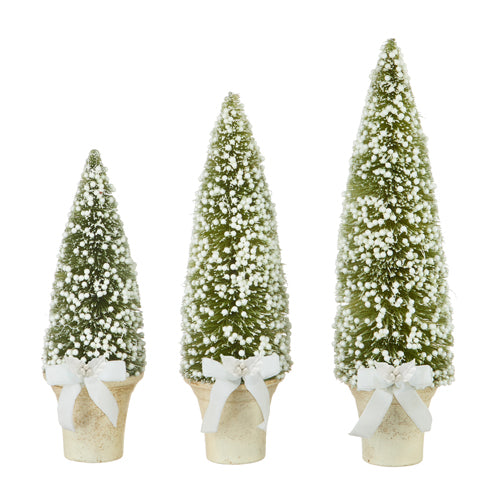 POTTED BOTTLE BRUSH TREES WITH WHITE BERRIES