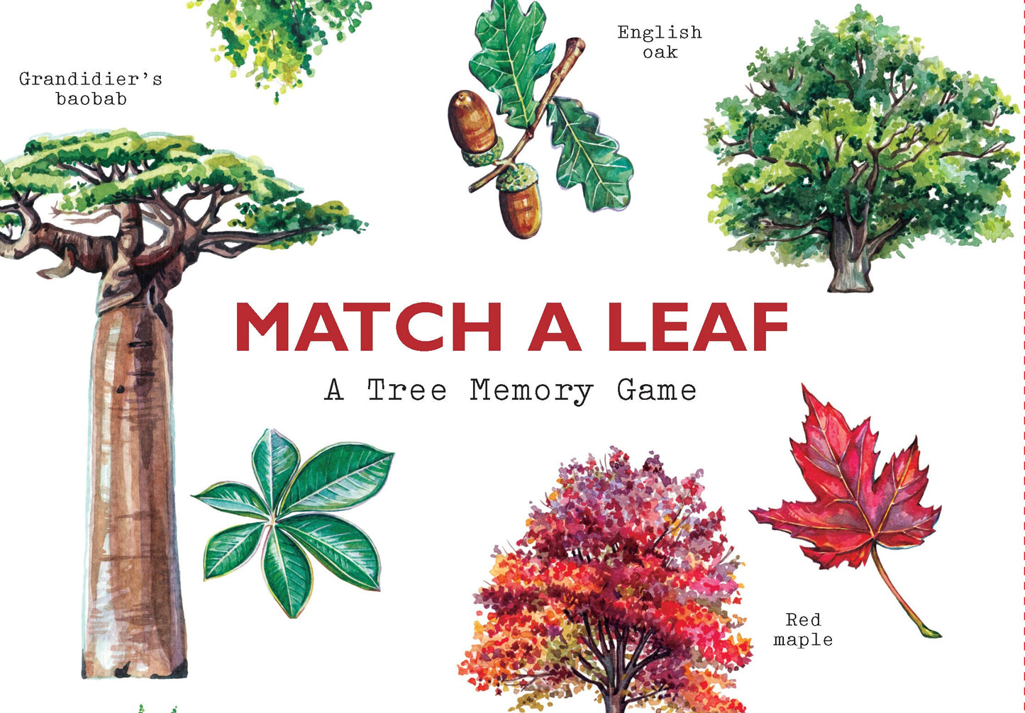 Match a Leaf Memory Game