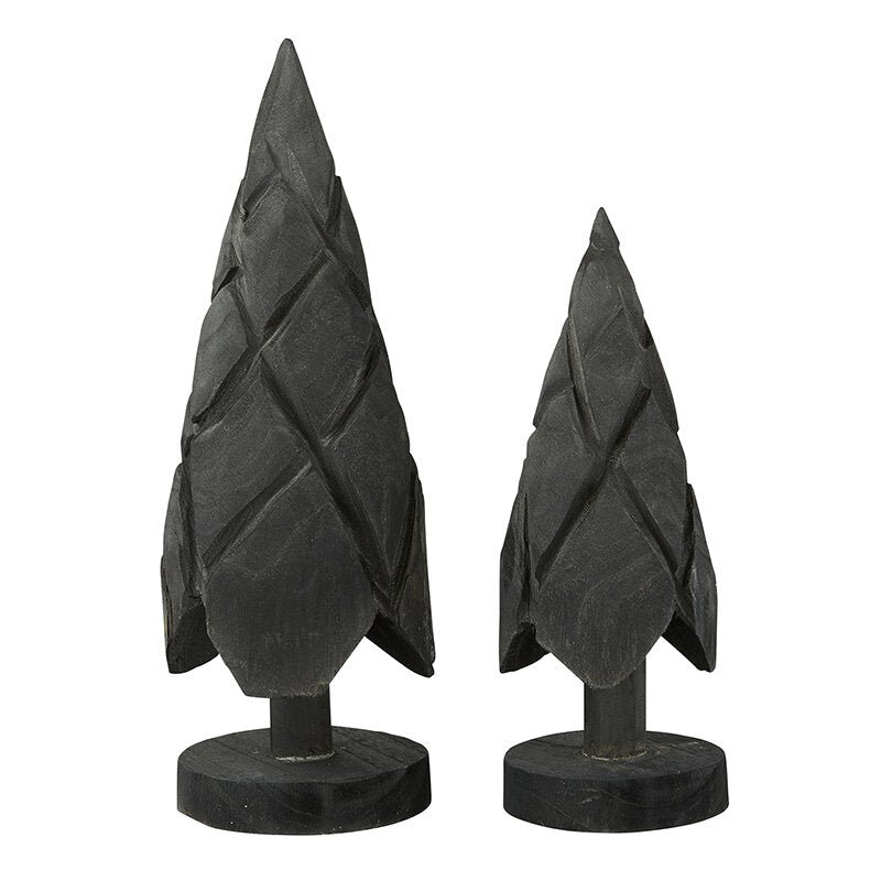 Paulownia Wood Trees