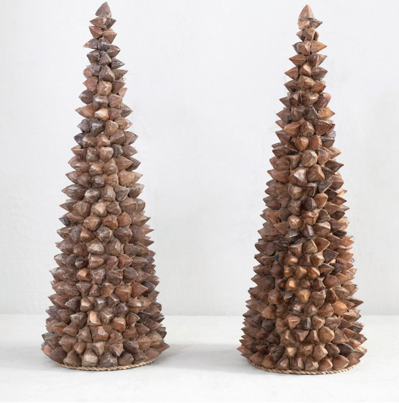 Handmade Pili Seed Tree
