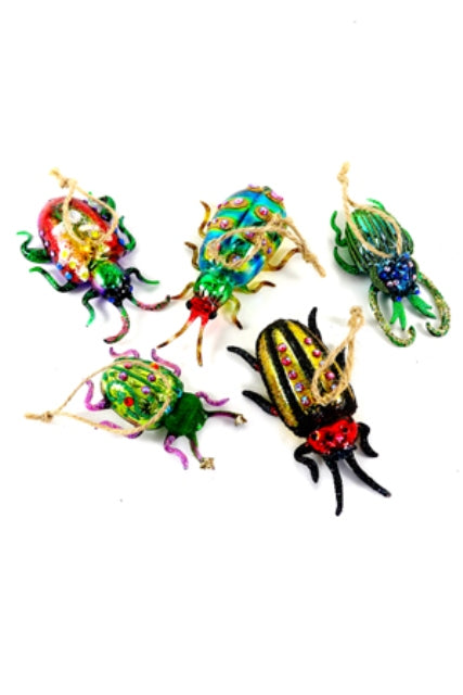 Forest Floor Bugs