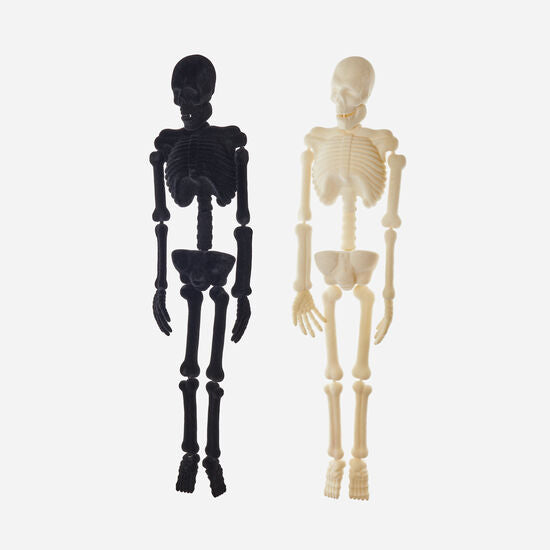 Flocked Skeleton