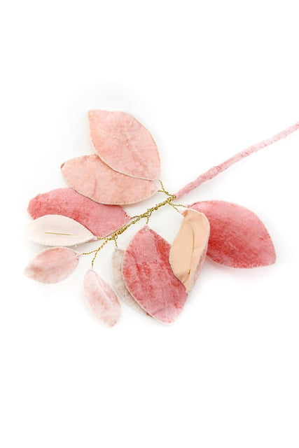 Velvet Leaf Stem