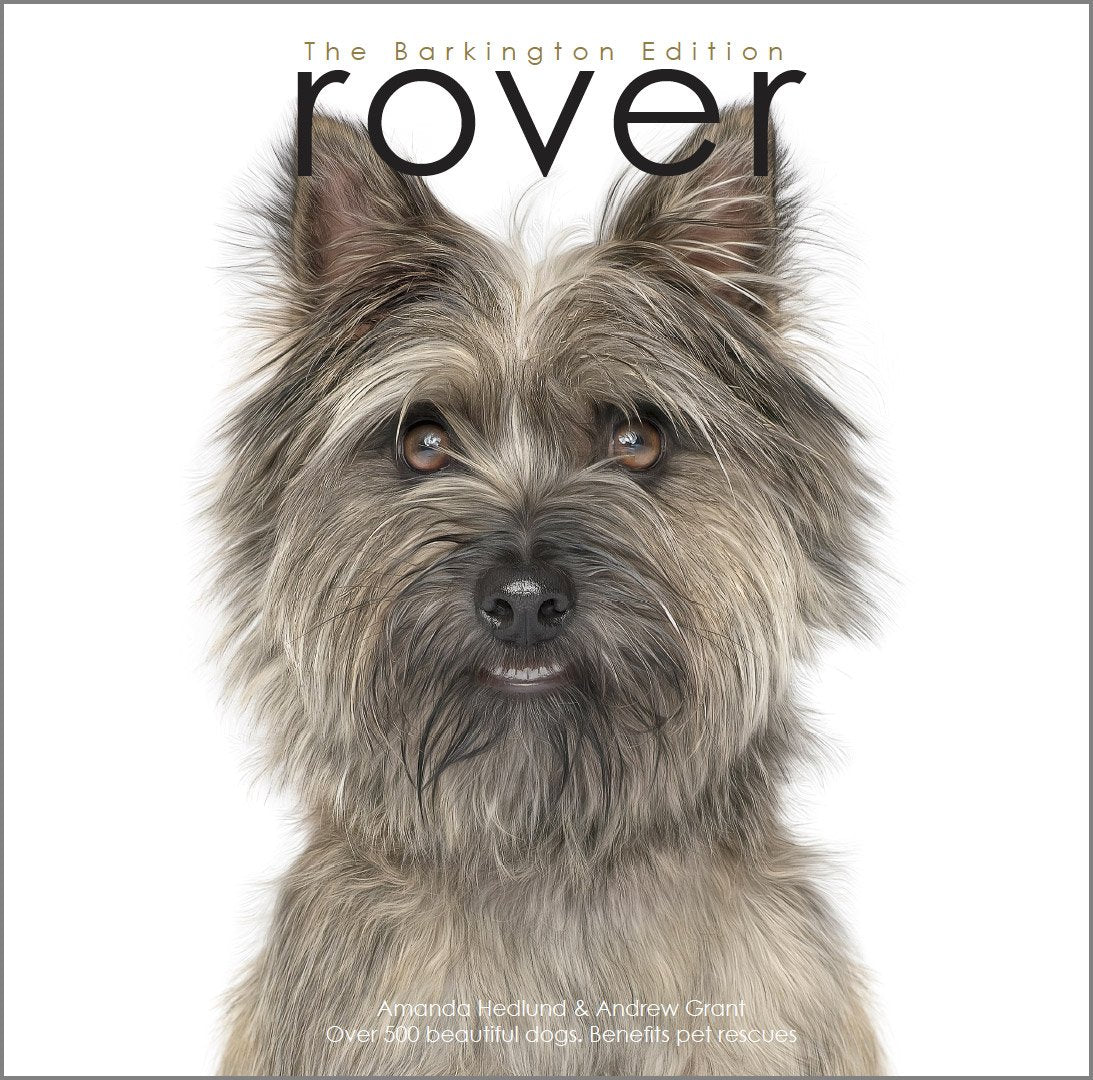 Rover: The Barking Edition