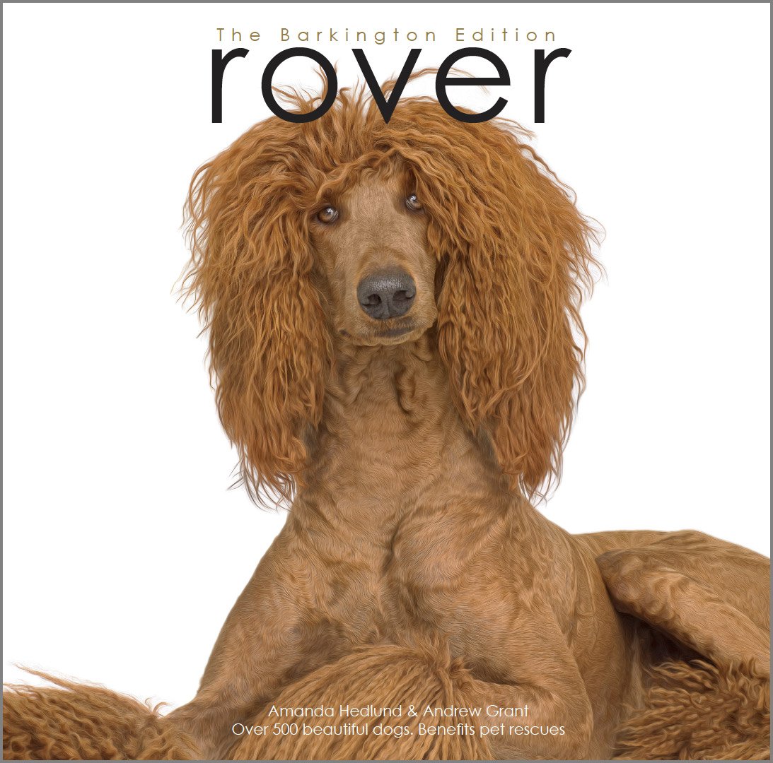 Rover: The Barking Edition