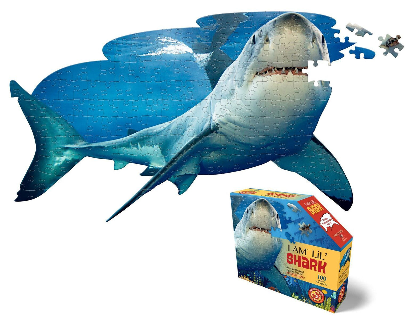 I Am Lil' Shark Puzzle
