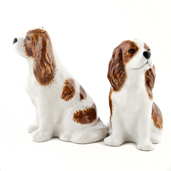 Cavalier King Charles Spaniel Salt & Pepper