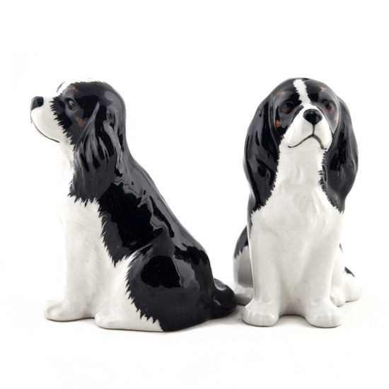 Cavalier King Charles Spaniel Salt & Pepper