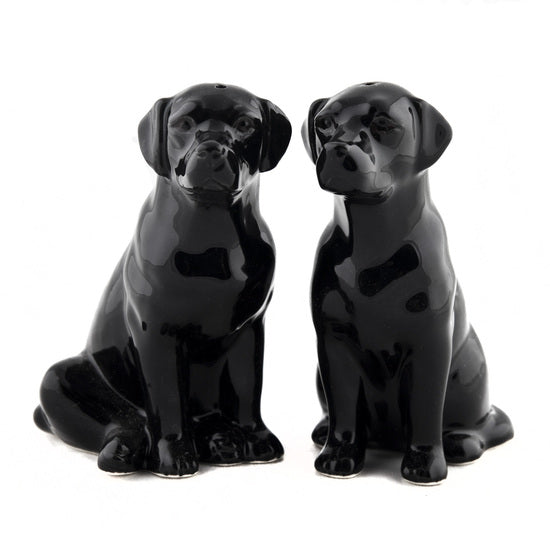 Labrador Salt & Pepper