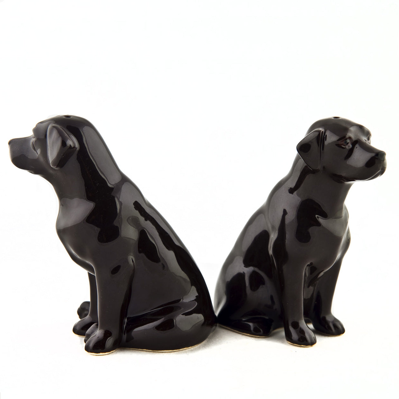 Labrador Salt & Pepper