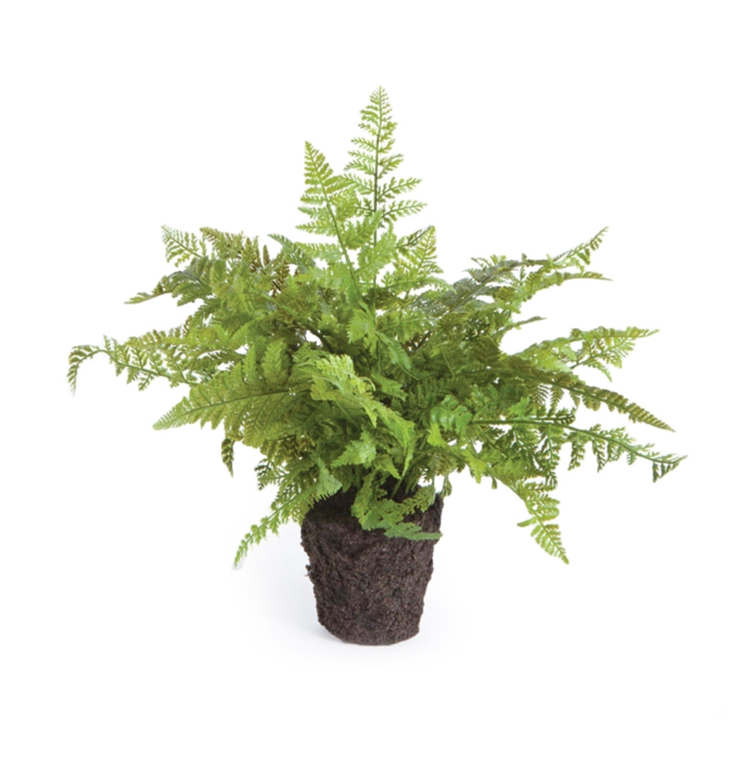 Soft Fern Drop- In