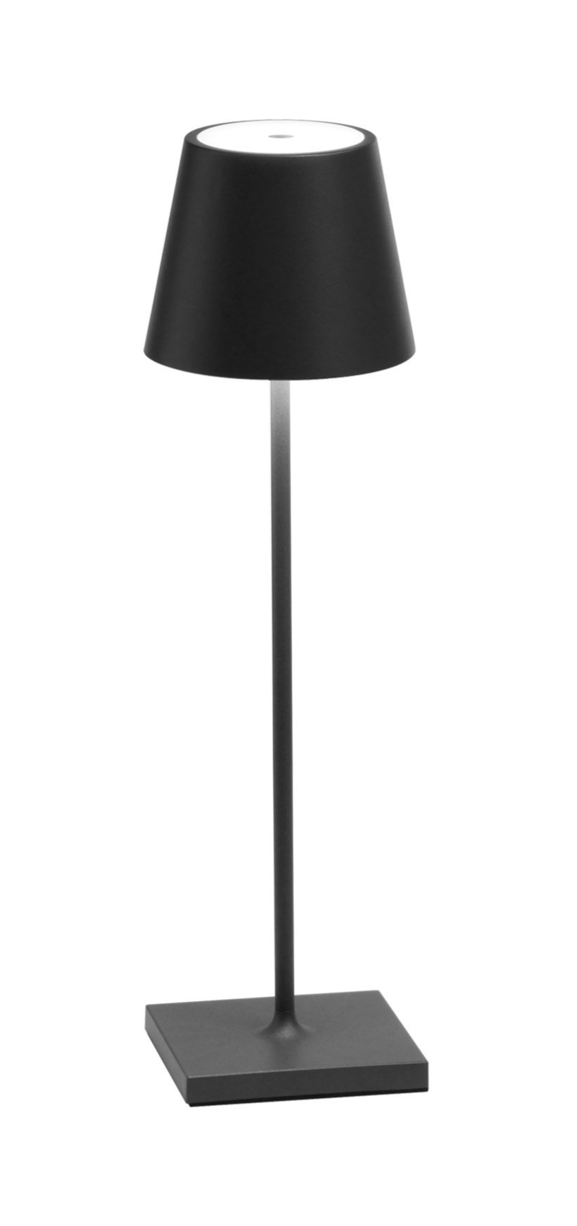 Cordless Large Table Lamp