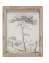 Wood Framed Glass Wall Décor Botanicals