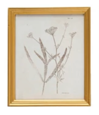 Wood Framed Glass Wall Décor Botanicals