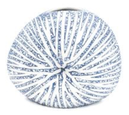 Diva Vase