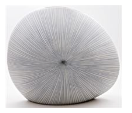 Diva Vase